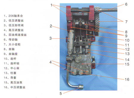 菜籽免蒸液壓榨油機